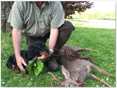 Conny vom Nebelstein