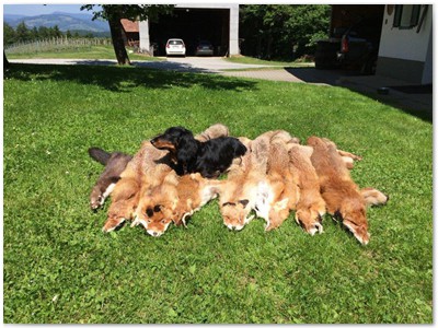 Erste Jagdsaison von Conny